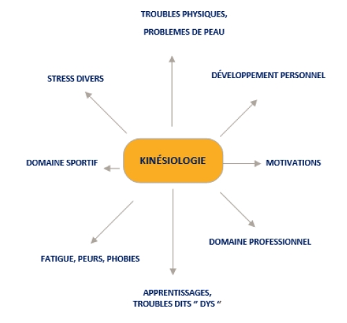 Kinésiologie: schéma des domaines d'application. Stress, troubles physiques, développement personnel. Équilibre musculaire, gestion des émotions. Apprentissage, sport, motivation. Thérapie manuelle, bien-être global. Technique holistique pour corps et esprit.